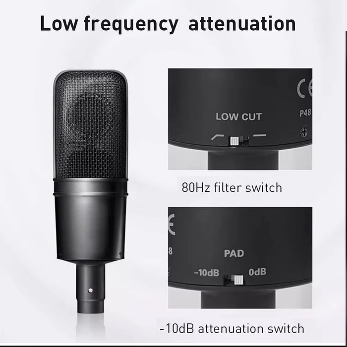 AT4040 Condenser Mic Wide Range, Live