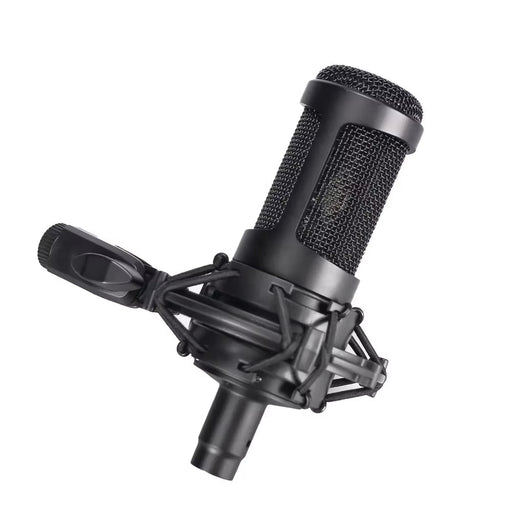 AT2035 Pro Condenser Mic for Recording