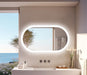 LED Mirror Bathroom Oval Illuminated Dimming Smart Vanity Antifog Mirror