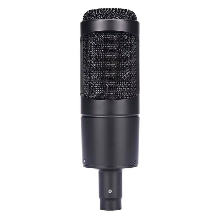 AT2035 Pro Condenser Mic for Recording